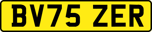 BV75ZER