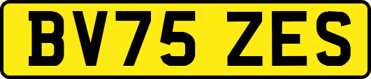 BV75ZES