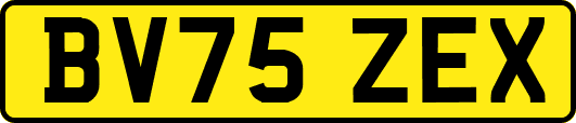 BV75ZEX