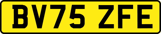BV75ZFE