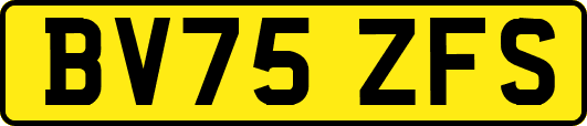BV75ZFS