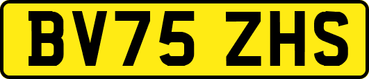BV75ZHS