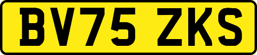 BV75ZKS