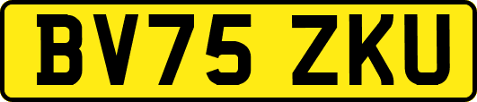 BV75ZKU