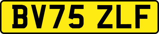 BV75ZLF