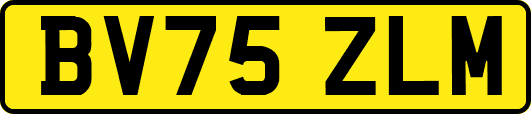 BV75ZLM