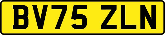 BV75ZLN