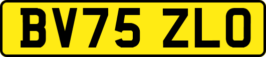 BV75ZLO