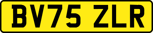 BV75ZLR