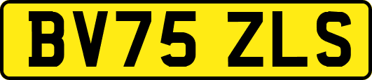 BV75ZLS