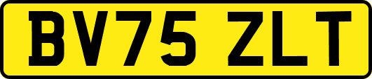 BV75ZLT