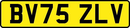 BV75ZLV