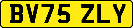 BV75ZLY