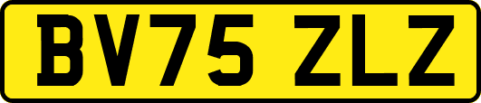 BV75ZLZ