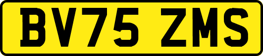 BV75ZMS