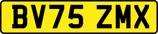 BV75ZMX