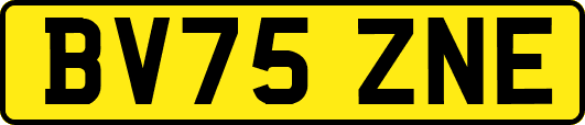 BV75ZNE