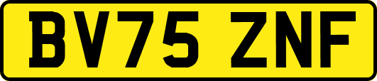 BV75ZNF