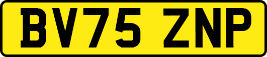 BV75ZNP