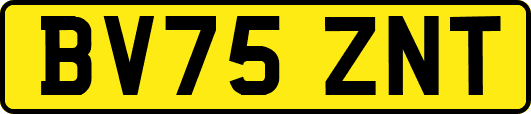 BV75ZNT