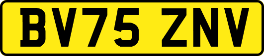 BV75ZNV