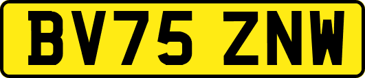 BV75ZNW
