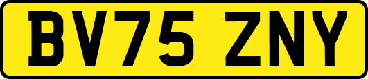 BV75ZNY