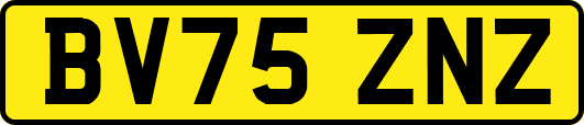 BV75ZNZ