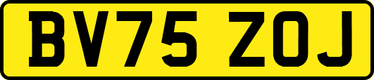 BV75ZOJ
