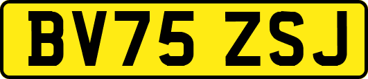 BV75ZSJ