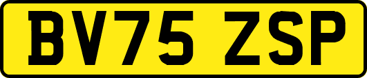 BV75ZSP