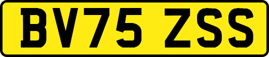 BV75ZSS