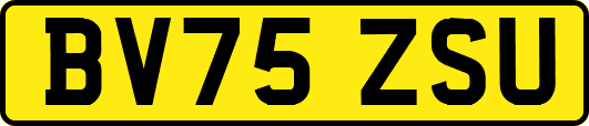 BV75ZSU