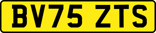 BV75ZTS