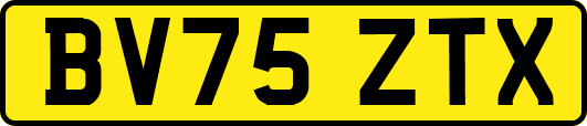 BV75ZTX