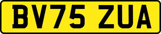 BV75ZUA