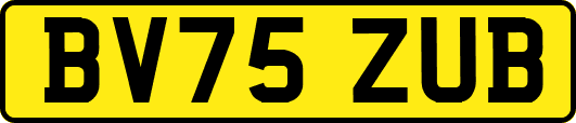 BV75ZUB