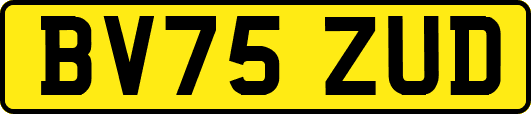 BV75ZUD