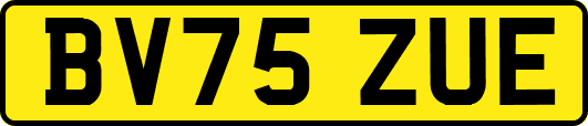 BV75ZUE