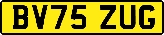 BV75ZUG