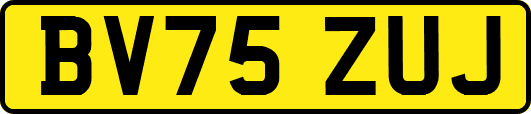 BV75ZUJ