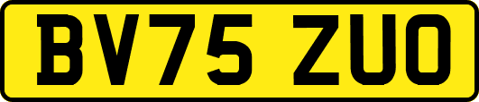 BV75ZUO