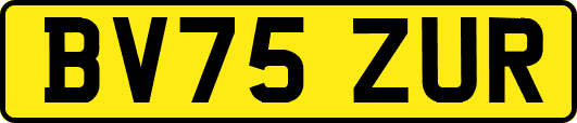 BV75ZUR