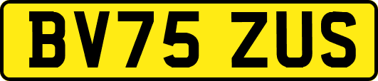 BV75ZUS
