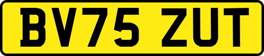 BV75ZUT