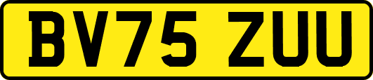 BV75ZUU