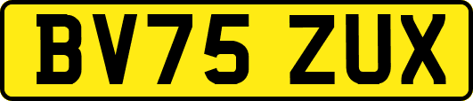 BV75ZUX