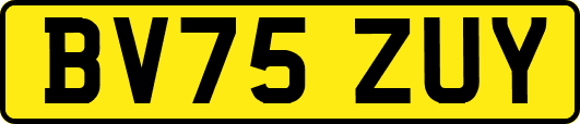 BV75ZUY