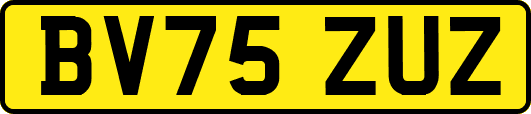 BV75ZUZ