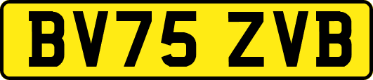BV75ZVB